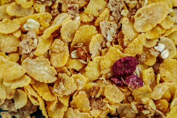 muesli background
