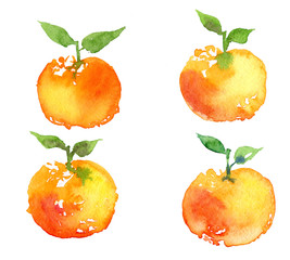Watercolor mandarine orange fruit set isolated on white background.
