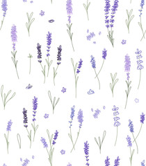Seamless Pattern with abstract springs of lavander, flowers and leaves