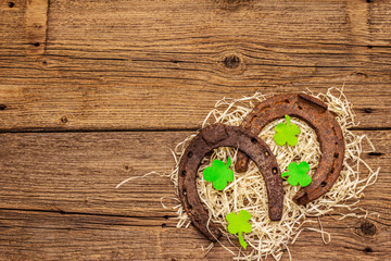 Two cast iron metal horse horseshoes with felt clove leaves on hay. Good luck symbol, St.Patrick's Day concept