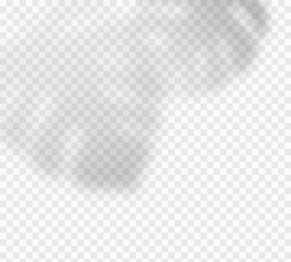 Shadow overlay isolated on transparent background. Vector summer plant, monstera leaves or tropic foliage soft blurred effect pattern. .