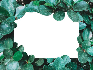 Fototapeta premium Creative layout made of tropical leaves with paper card note. Flat lay.