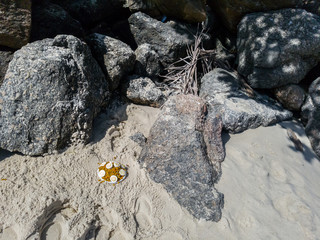 This dish with boiled beans, eggs also boiled, peeled and cut, with exposed yolk, is macumba deposited in the sands of Itaipu beach, symbol of Afro Brazilian religiosity.