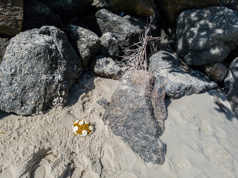 This dish with boiled beans, eggs also boiled, peeled and cut, with exposed yolk, is macumba deposited in the sands of Itaipu beach, symbol of Afro Brazilian religiosity.
