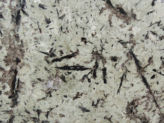 Tourmaline Quartzite Natural Texture