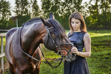 Obraz premium A young brunette woman in a black dress communicates with a dark brown horse on a sunny summer evening. Evening walk with a horse. Close-up.