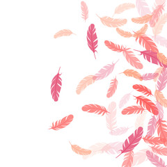 Falling feather elements soft vector design.