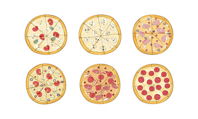 Cut Up Pizza with Different Ingredients Top View Vector Set