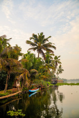 Fototapeta premium drzewa kokosowe nad jeziorem, wieczorny widok w Kerali