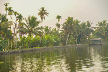 Plakat River side view with coconut tree and house in alleppey. Kerala 