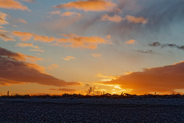 The bare branches of Driftwood and Grasses silhouetted against the Setting Winter Sun from the Pebble Beach at St Cyrus at Dusk.