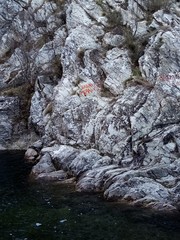 rock in the water