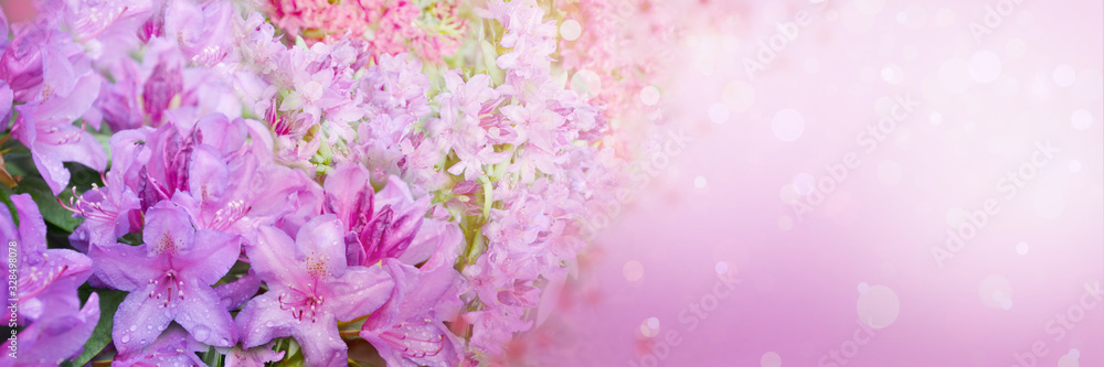 Wall mural spring abstract diffuse background with pink sky and branches of blooming flowers
