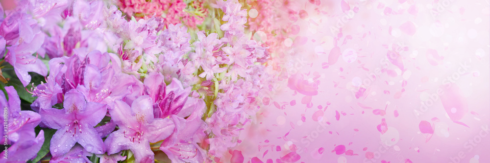 Wall mural spring abstract diffuse background with pink sky and branches of blooming flowers