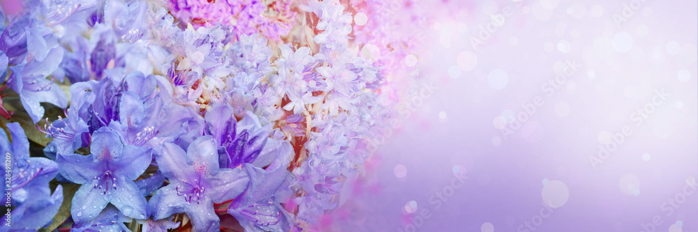 Wall mural spring abstract diffuse background with blue sky and branches of blooming flowers