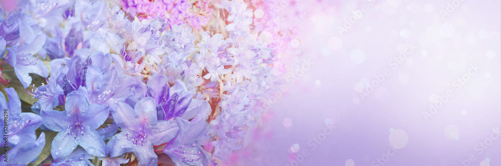 Wall mural spring abstract diffuse background with pink sky and branches of blooming flowers
