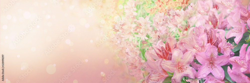 Wall mural spring abstract diffuse background with pink sky and branches of blooming flowers