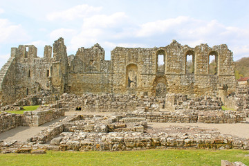 Fototapeta premium Rivaulx Abbey, Yorkshire 