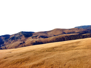 Landscape of forest on the mountain