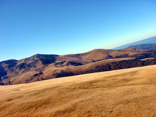 Landscape of forest on the mountain