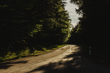Sunset road of the Black Forest, Germany. Schwarzwald