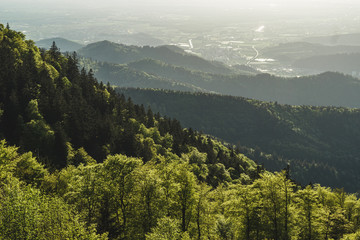 Nice panoramic landscape of the black forest region, Germany. Schwarzwald.
