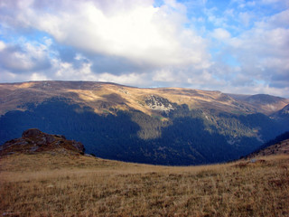 Landscape of forest on the mountain