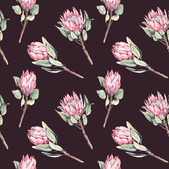 Seamless pattern of watercolor protea flowers. Pink flowers isolated on white background. For wrappers, wallpapers, textiles and your creativity.