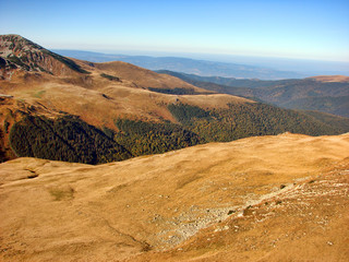 Landscape of forest on the mountain