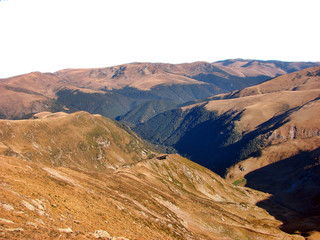 Landscape of forest on the mountain