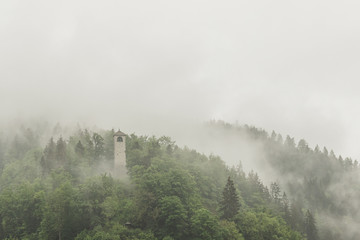 Views of the green forest with fog and rain, Black Forest, Germany. Triberg.