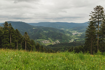 Obraz premium Nice panoramic landscape of the black forest region, Germany. Schwarzwald.