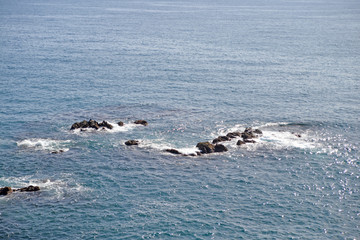 Obraz premium seagulls on the beach