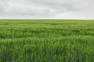 Nice landscape of the Rheinland-Pfalz area in Germany. Green meadows and plains.