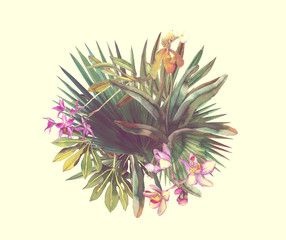  orchid ,tropical flowers, banana leaves  on a white background.