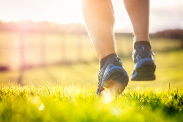 Cross-country running in meadow at early sunrise