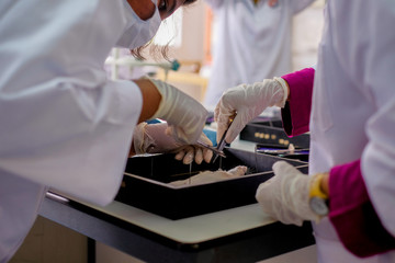 Malaysia - March 2, 2020: Surgeon perform vascular anastomosis on the rat lab. Students  tdo a...