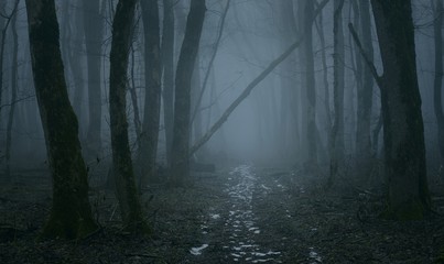 Gloomy path
