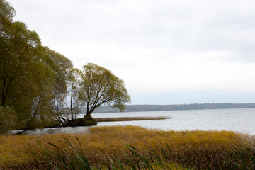 Fototapeta na wymiar Trees on the lake. Autumn landscape. Plescheevo-lake, Pereslavl-Zalessky, Russia