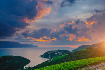 An attractive summer scene on a sundown. Location Rizman vineyard, Balkan peninsula, Croatia.