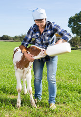 female employee feeding newborn calf on grass pasture © caftor