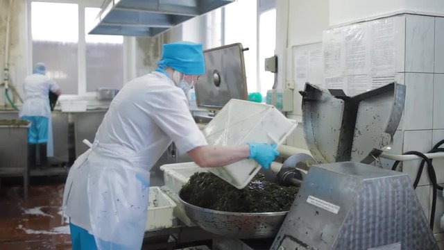 Fish processing plant. The cutter cuts seaweed salads, kelp, cabbage, flushing algae Laminaria, Luminaria, seafood factory
