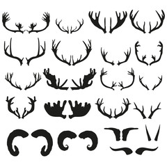 A set of horns