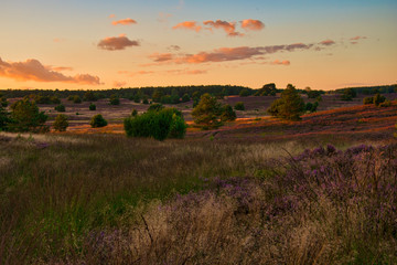 Scenic landscape across grassland moors at sunset