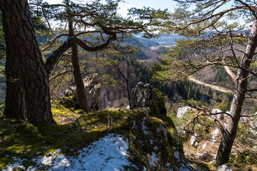 Hike in spring in the beautiful Danube valley