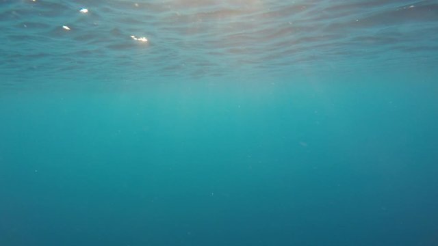 Sunbeams in clear blue ocean underwater video