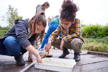 Two Girls On Outdoor Activity Camp Studying Pond Life Found in Weeds