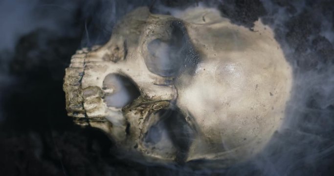 Human skull on the wet soild with smoke flowing