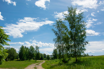 Obraz premium Beautiful latvian nature. Scenic landscape of green field, trees and blue sky. Winding rural road.