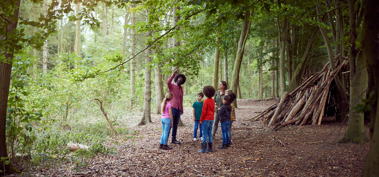 Adult Team Leaders With Group Of Children At Outdoor Activity Camp Walking Through Woodland